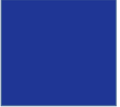 Li-Colonel's standard